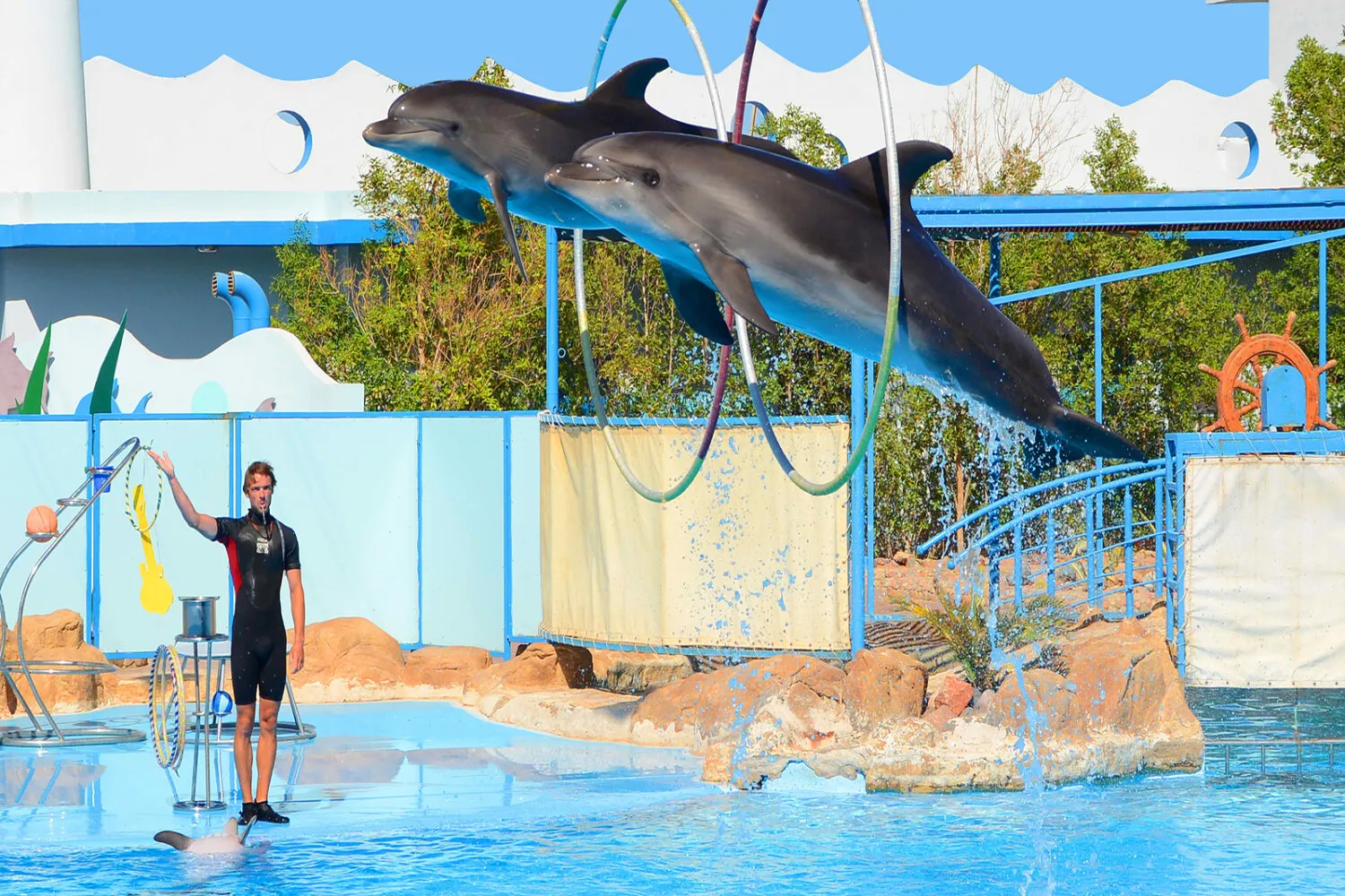 DSC_1117 copy 1500x1000 new