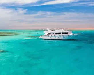 d265f5f3 fbeb 4781 acf0 ec8801383dea fotor 20260312135241 new e1773316428577